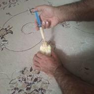 دو عدد جوجه دستی سرلاکی و دونخور