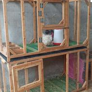 قفس چوبی سالم