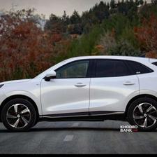 لاماری هیبرید خشک