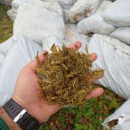 فروش سیلو ذرت عالی