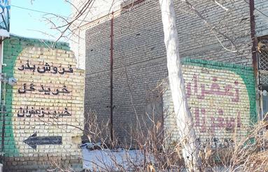 زمین حاشیه خیابان فلسطین