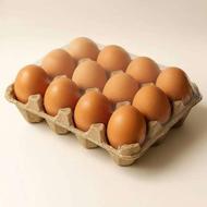 تخم مرغ محلی