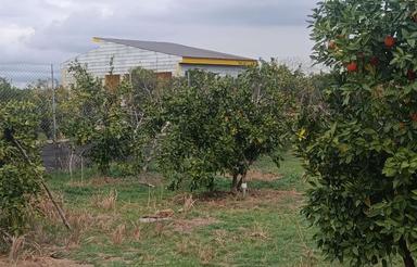 یک قطعه باغ به متراژه 1200متر اخورسر