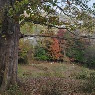 علف تراشی در کوتاه ترین زمان با نازل ترین قیمت