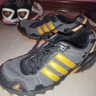 دوعدد کتانی مارک آدیداس و میزانو ویتنام