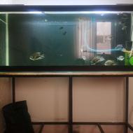 آکواریوم 1.20 متر با پایه فلزی