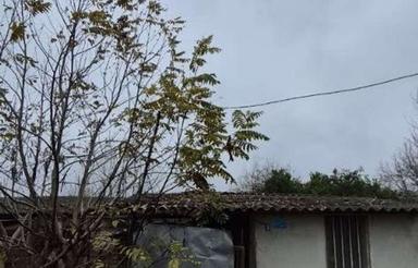 دامداری و باغ