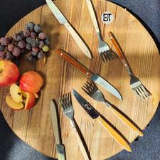 ست12تایی کارد و چنگال میوه خوری استیل تروان(زنجان)