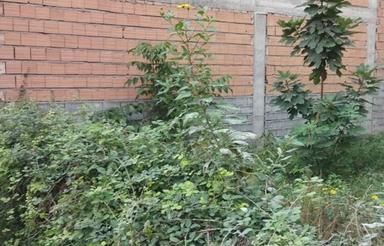 زمین مسکونی درفهمیده