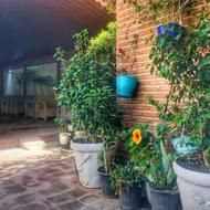 استخدام سالن دار خانه پدری