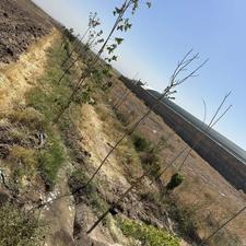 زمین مناسب هر شغلی مسکونی گلخانه و…اقساط