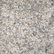 ضایعات خوراک دام