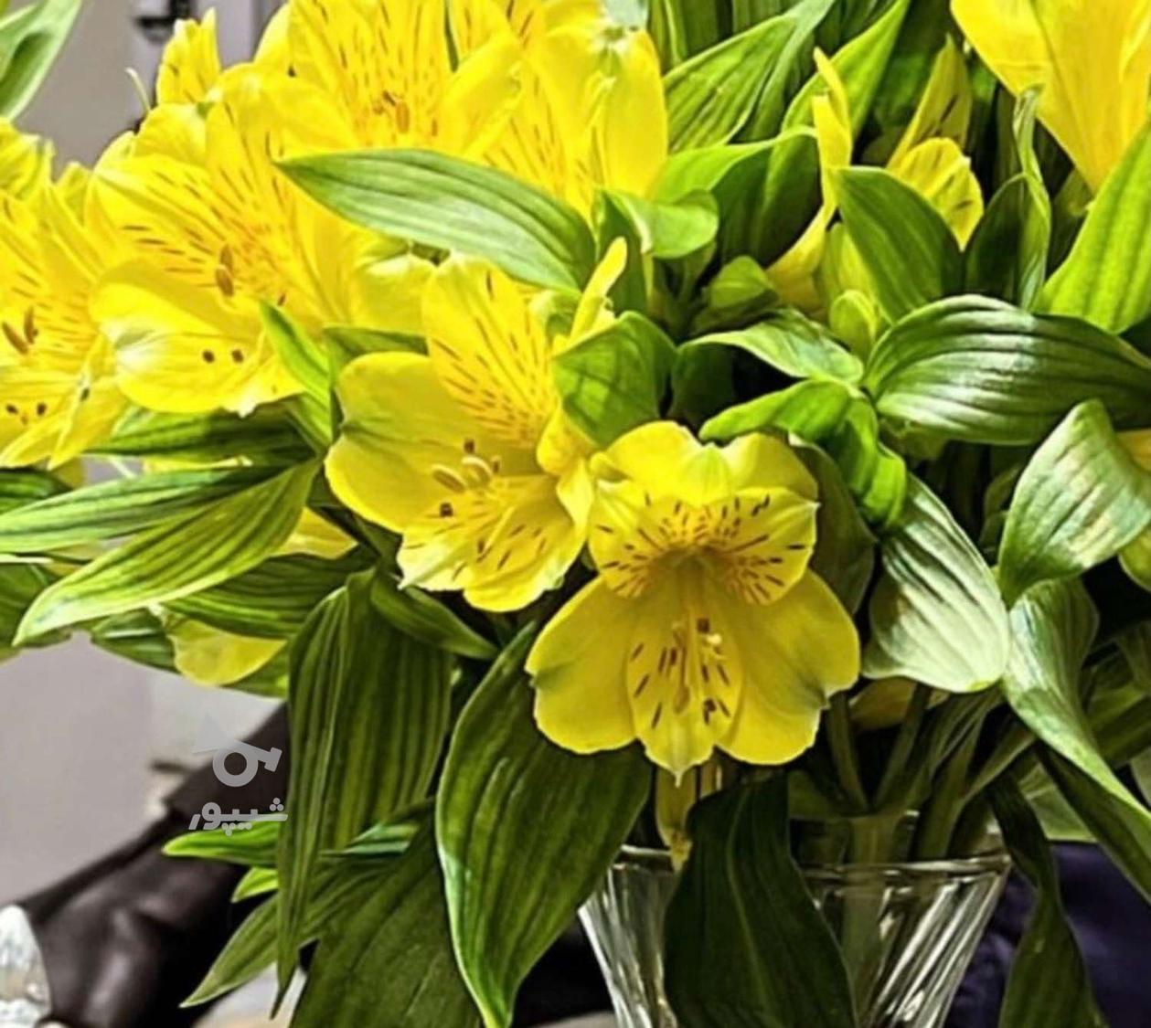 جویای کار هستم - undefined