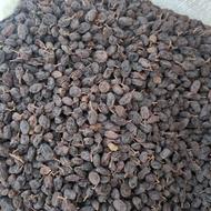 3 تن کشمش بیدانه درشت تمیز و اعلا و لوبیا چیتی