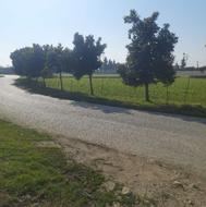 فروش زمین در روستای زیبای دونه سر بابل در بهترین نقطه