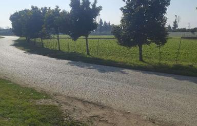 فروش زمین در روستای زیبای دونه سر بابل در بهترین نقطه