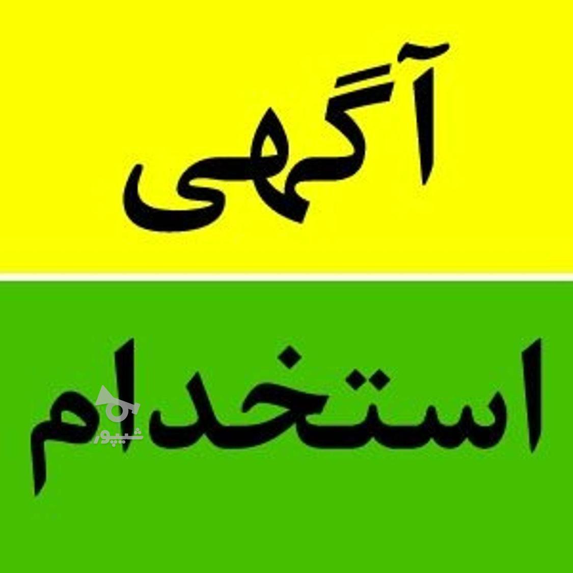 کار در منزل (بسته بندی) - undefined