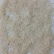 نیم دانه طارم هاشمی