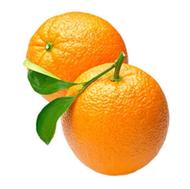 خریدار پرتقال شما سر درخت هستم