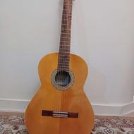 گیتار سالم و نو به همراه کاور