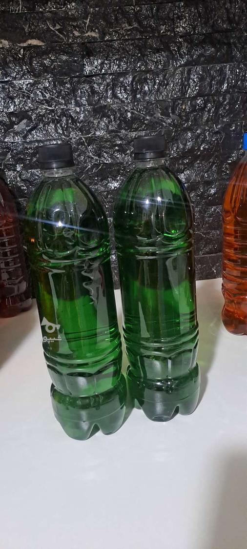 نبات مایع بعد قهوه