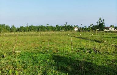 فروش زمین 3453 متری کیاشهر، نزدیک ساحل