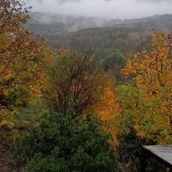 دنبال سرایداری ام