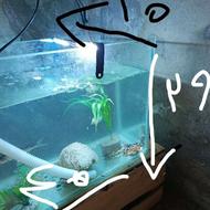 آکواریوم باکل وسایل تکی و همه باهم