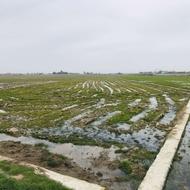 5،000 متر زمین کشاورزی