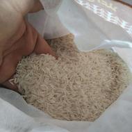 برنج مجلسی دانه بلند پاکستانی درجه یک بفروش میرسد