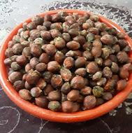 بذرسیکاس آماده کاشت