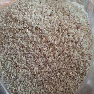 سر لاشه طارم هاشمی