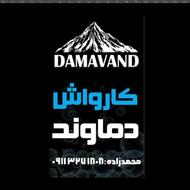 نیروی کارواش