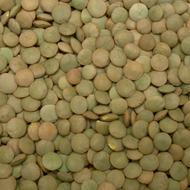 عدس دانه درشت محلی