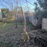 فروش زمین در کفشگرکلا