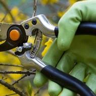 انجام هرس درختان ،پیوند ،احداث باغ ،فنس کشی ،کود ،مشاوره و..