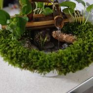 ساخت آب نما با گیاهان طبیعی