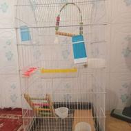 قفس ایستاده با وسایل کامل