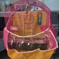 دوتاقفس بدون پرنده