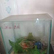 آکواریوم با وسایل کامل