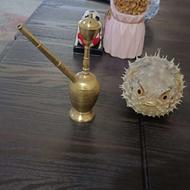 ماهی بادکنکی خشک شده