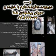 اکواریوم و لوازم (معاوضه)