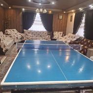 میز پینگ پنگ