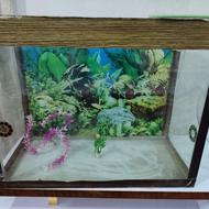 آکواریوم سالم و تور