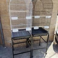 ففس پرنده عروس هلندی کاسکو طوطی برزیلی