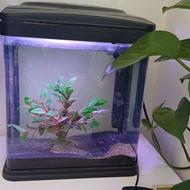 اکواریوم ماهیران