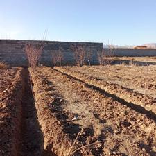 300 سیصد متر زمین باغی درچه ولاشان خ حافظ معاوضه با قائمیه