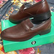 زیبا باکیفیت