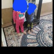 ویترین قهوه ای جنس چوب  