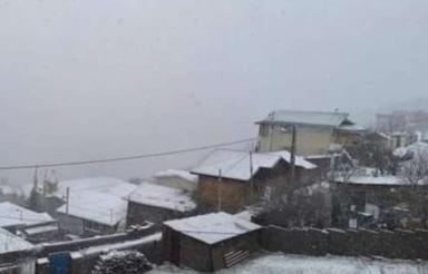 زمین داخل بافت دور تا دورش دیوار کشی کنار جاده قرار داره